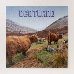 Puzzle Vaches Highland