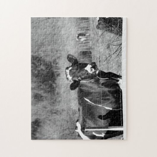 Puzzle Vaches Holstein curieuses noires et blanches en pâ (Vertical)