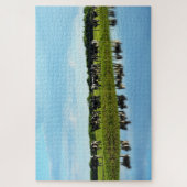 Puzzle Vaches Holstein noires et blanches dans le pâturag (Vertical)