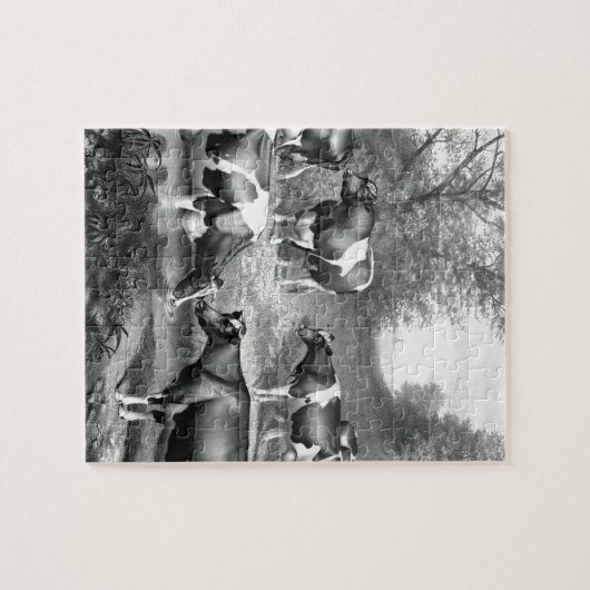 Puzzle Vaches libres Holstein vaches frey (Horizontal)