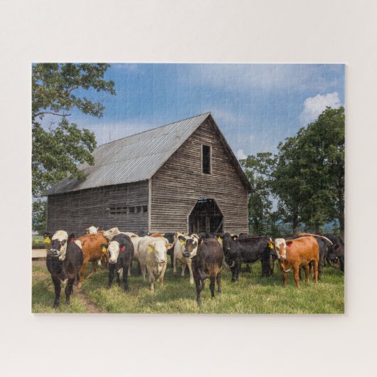 Puzzle vaches par la grange (Horizontal)