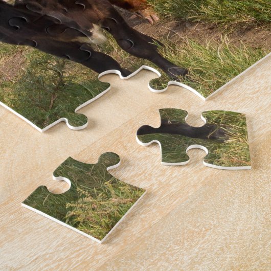 Puzzle vaches par la grange (Côté)