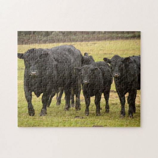 Puzzle Vaches sous la pluie (Horizontal)