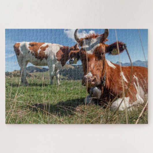 Puzzle Vaches suisses (Horizontal)