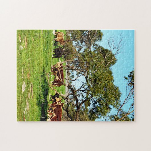 Puzzle Vaches Sur La Plage, (Horizontal)