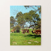 Puzzle Vaches Sur La Plage, (Vertical)