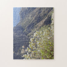 Vallée de montagne aux floraisons calmes
