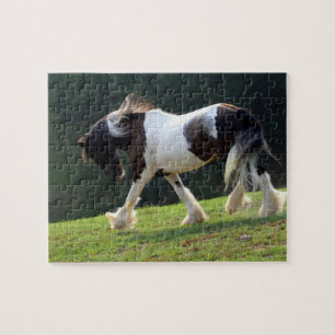 Puzzle Vanner Tsigane