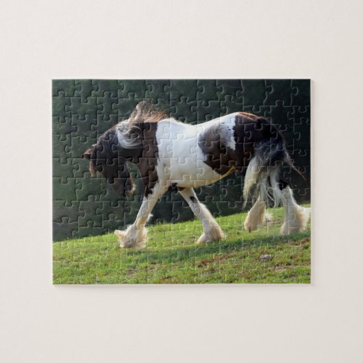 Puzzle Vanner Tsigane (Horizontal)