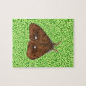 Puzzle Vapourer Moth (Horizontal)