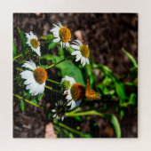 Puzzle Variegated Fritillary Butterfly (Horizontal)