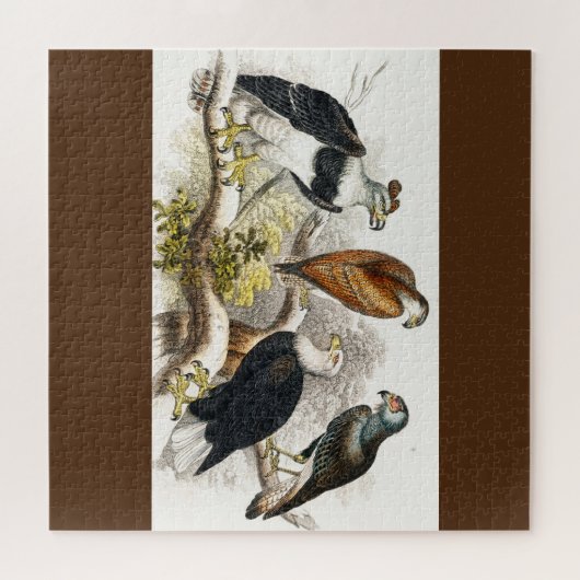 Puzzle vautour (Horizontal)