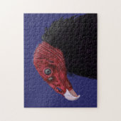 Puzzle Vautour de Turquie illustrée (Vertical)