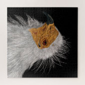 Puzzle Vautour égyptien illustré (Horizontal)