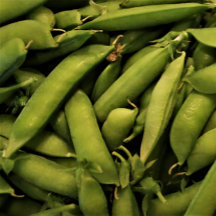 Puzzle Vegan Garden Pea