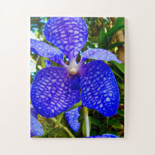 Puzzle Veines Bleues   Orchidée Vanda pour la sensibilisa