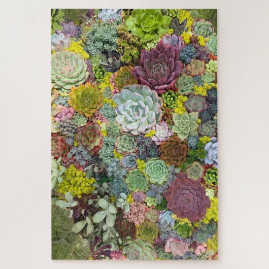 Puzzle Verdure colorée Succulents (Vertical)