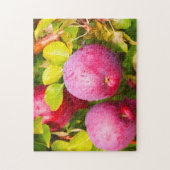 Puzzle Verger de pommiers Vermont. (Vertical)