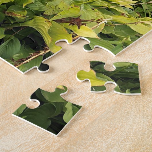 Puzzle Vermont en automne (Côté)