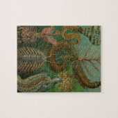 Puzzle Vers Annélides Chaetopoda par Ernst Haeckel (Horizontal)