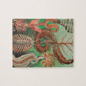 Puzzle Vers, Annelids Chaetopoda par Ernst Haeckel (Horizontal)