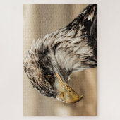 Puzzle Vers le haut photo Eagle (Vertical)