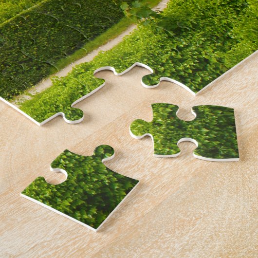 Puzzle Versailles Paris. (Côté)