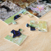 Puzzle Version anglaise : Jews of Under Water Siquijor (Côté)