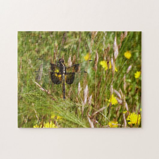 Puzzle Veuve Skimmer. (Horizontal)