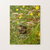Puzzle Veuve Skimmer. (Vertical)
