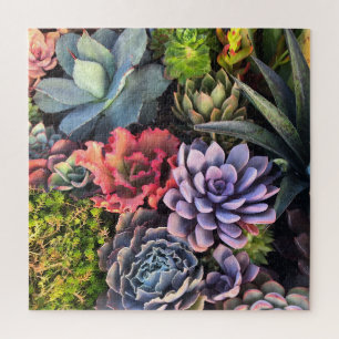 Puzzle Vibrant and Colorful Succulent Garden