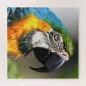 Puzzle Vibrant couleur Macaw (Horizontal)