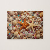 Puzzle Vibrant Seashell Still Life on Teal Background (Horizontal)