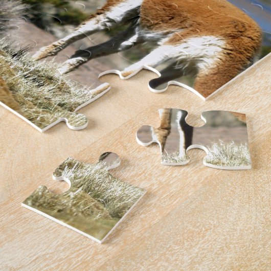 Puzzle Vicuna en état d'alerte élevé Lauca National Park (Côté)