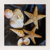 Puzzle vie marine de coquillages d'étoiles de mer (Horizontal)