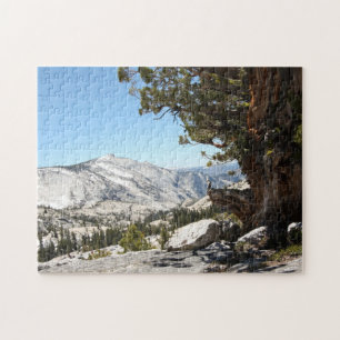 Puzzle Vieil arbre au parc national de Yosemite