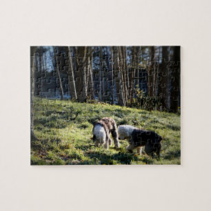 Puzzle Vieille forêt anglaise de conte de fées de chien