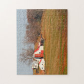 Puzzle Vielles Granges du Tennessee. (Vertical)