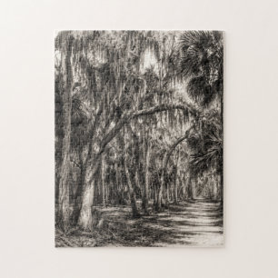 Puzzle Vieux chêne de Floride Graphite Hammock Sketch R
