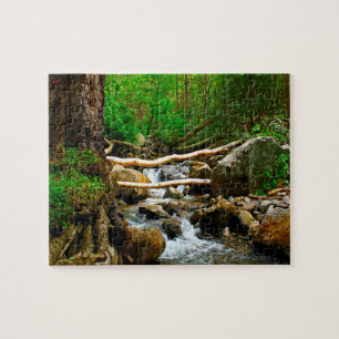 Puzzle Vieux Moulin Gatlinburg Tennessee