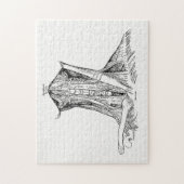 Puzzle Vieux muscles d'illustration d'anatomie du cou (Vertical)
