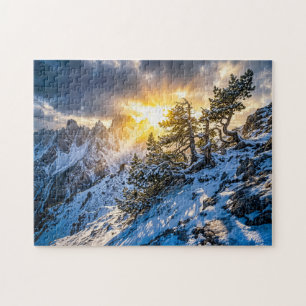 Puzzle Vieux pin de montagne sous une lumière hivernale d