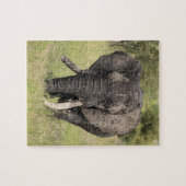 Puzzle Vieux taureau d'éléphant africain - défense cassée (Horizontal)