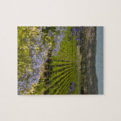Puzzle Vignoble californien et fleurs pourpres (Horizontal)