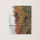 Puzzle : Vignoble de la Californie avant récolte (Vertical)