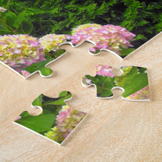 Puzzle Vignoble de Martha. (Côté)