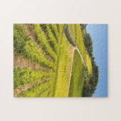 Puzzle Vignoble, Stellenbosch, Cap-Occidental (Horizontal)