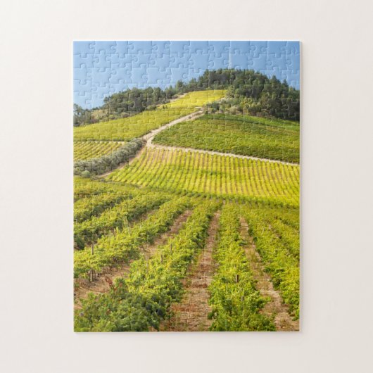 Puzzle Vignoble, Stellenbosch, Cap-Occidental (Vertical)