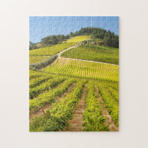 Puzzle Vignoble, Stellenbosch, Western Cape