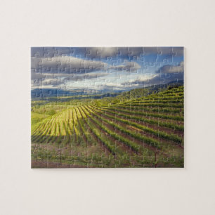 Puzzle Vignoble. Vallée de Napa. Napa. Comté de Napa,
